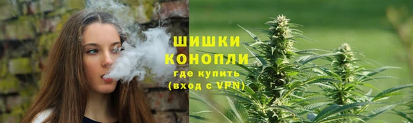 прущие грибы Нея