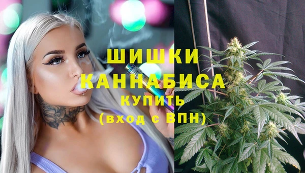 прущие грибы Нея
