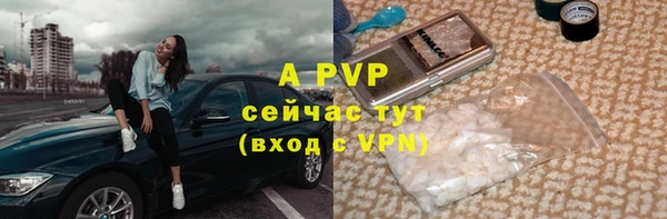 твердый Балахна