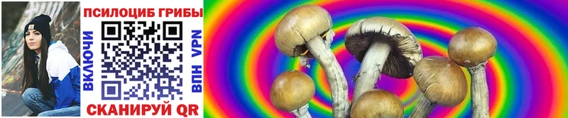 Псилоцибиновые грибы Psilocybine cubensis  Купить  Арсеньев 