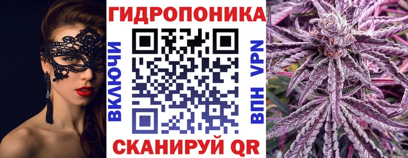 Купить закладки  Арсеньев  МАРИХУАНА Ganja 